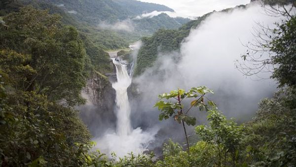 Some have pointed to a hydroelectric plant 12 miles upstream as a possible cause. (Shutterstock/ File Photo)