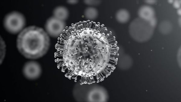 COVID-19 virus  (Twitter)