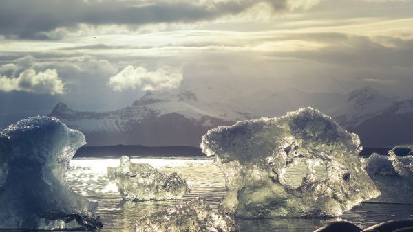 Arctic (pixabay)