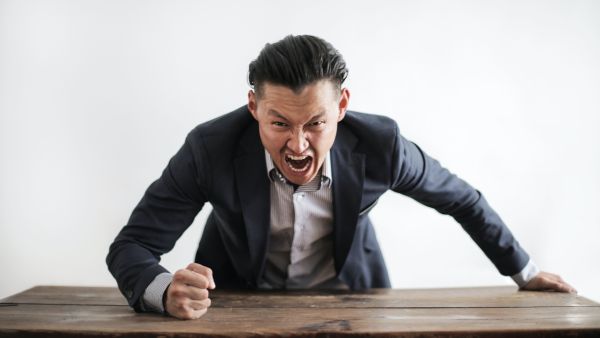 يتكون النظام العصبي من جزأين مختلفين يتميزان بواسطة لونهما من الناحية التشريحية: