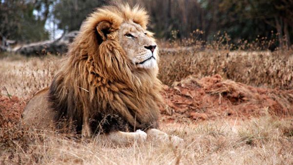 (Shutterstock/ File Photo)