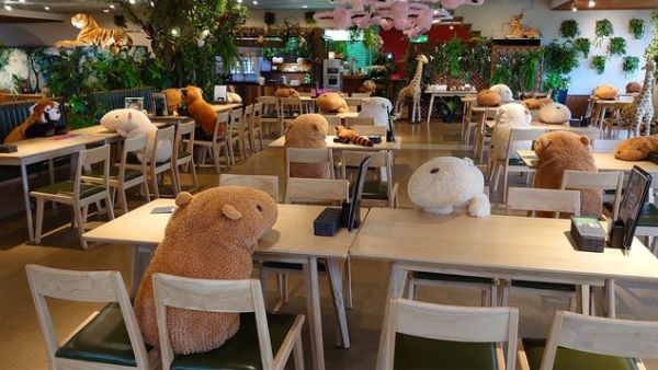 Plush capybaras (Twitter)