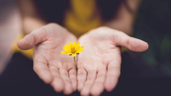 أفضل العلاجات المنزلية للأيدي الجافة من المطهرات