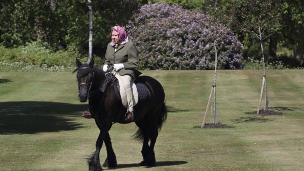 Britain's Queen Elizabeth II rides Balmoral Fern, a 14-year-old Fell Pony, in Windsor Home Park, west of London, over the weekend of May 30 and May 31, 2020. Steve Parsons / POOL / AFP