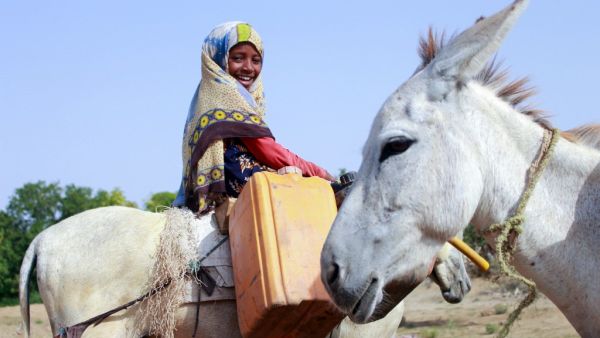 A Yemeni girl riding a donkey waits to fill jerrycans with water from a cistern at a make-shift camp for the internally displaced, in the northern Hajjah province, on June 7, 2020, amid a severe shortage of water. ESSA AHMED / AFP