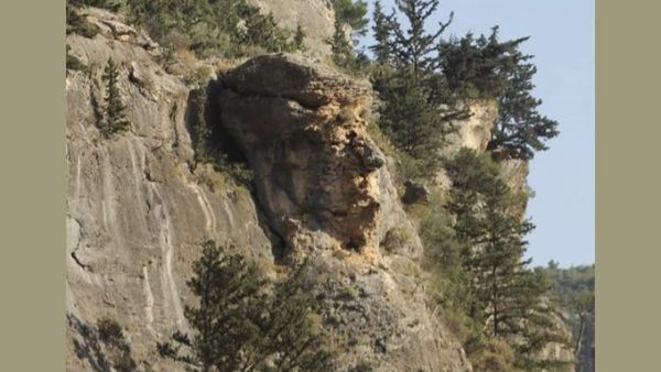 Trump rocks in TURKEY (Twitter)