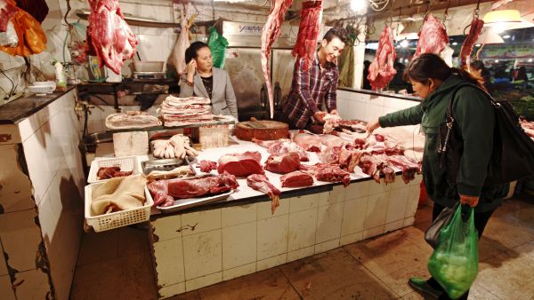 'Learn the Lesson': China's Dog Meat Festival Faces Demands Amid Coronavirus