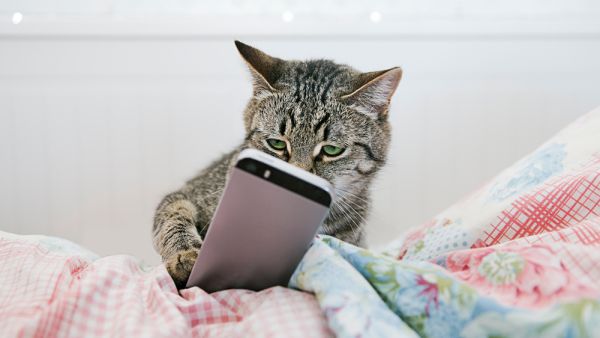 (Shutterstock/ File Photo)