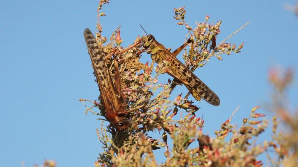 (Shutterstock/ File Photo)