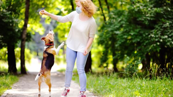 (Shutterstock/ File Photo)