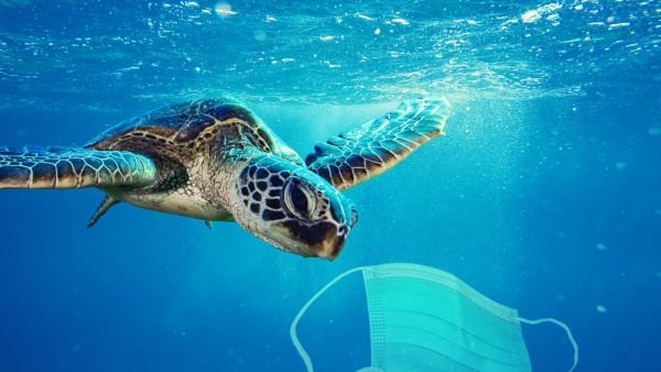 (Shutterstock/ File Photo)