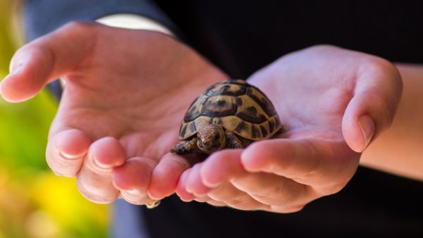 (Shutterstock/ File Photo)