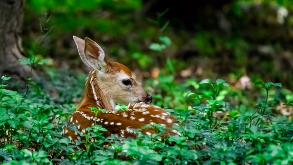 (Shutterstock/ File Photo)