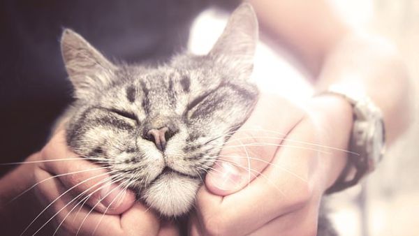 (Shutterstock/ File Photo)