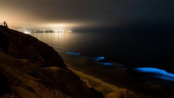 Neon blue waves  (Twitter)