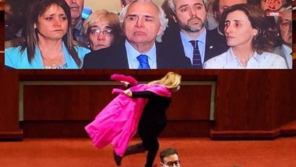 البرلمانية التشيلية "باميلا جيلز"