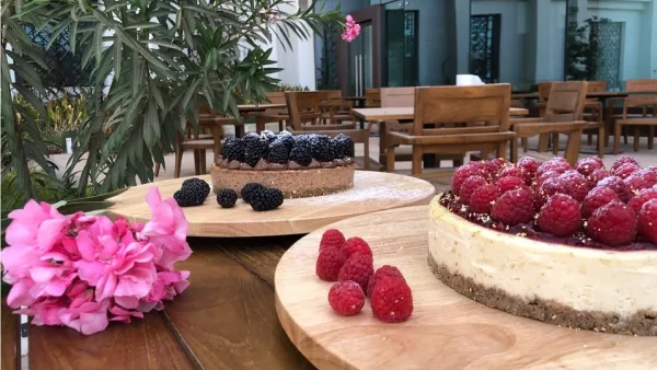 Savor Life’s Sweetest Moments With the JW Legendary Cheesecake