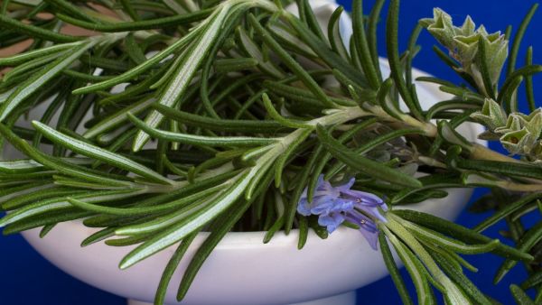 اصنعيه بنفسك: ملح الاستحمام بخلاصة الروزماري