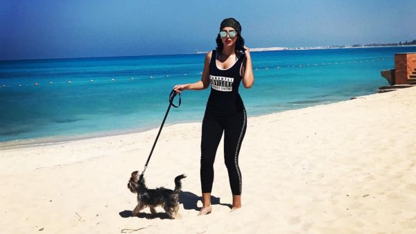 Your Dog Bit My Dog! Tamer Hosny's Wife Mocked for Suing Her Neighbor's Puppy