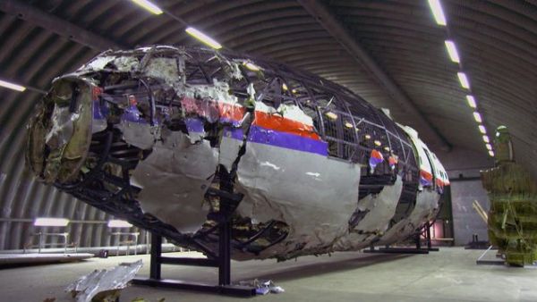 Malaysia Airlines flight MH17 (Twitter)