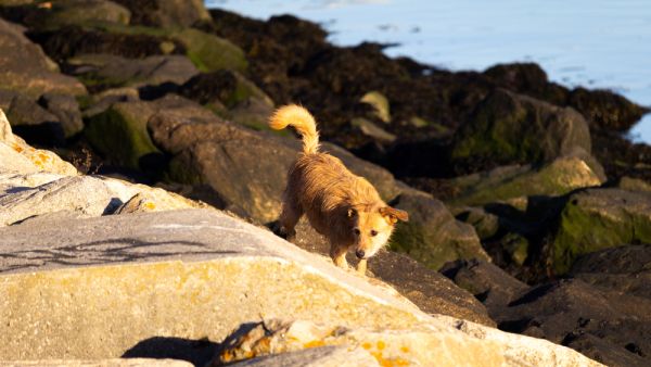 (Shutterstock/ File Photo)