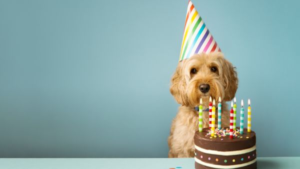 (Shutterstock/ File Photo)
