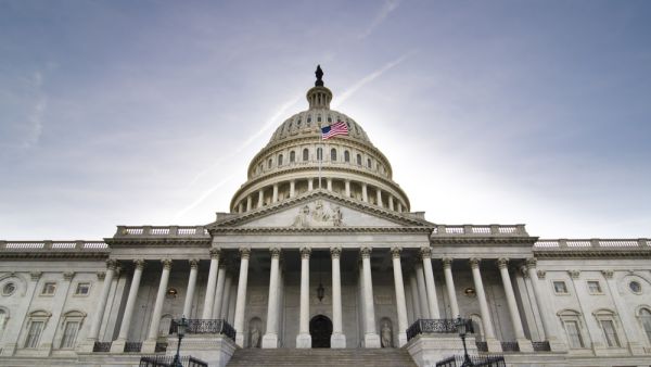 A view of the east steps of the United States Capitol Building  (Shutterstock)	