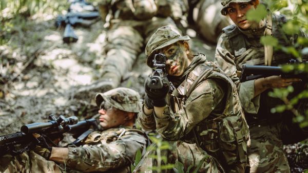 About 733 vehicles will be removed from service. (Shutterstock/ File Photo)