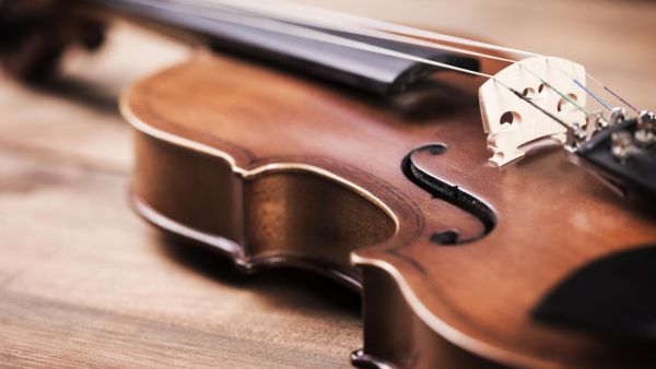 (Shutterstock/ File Photo)