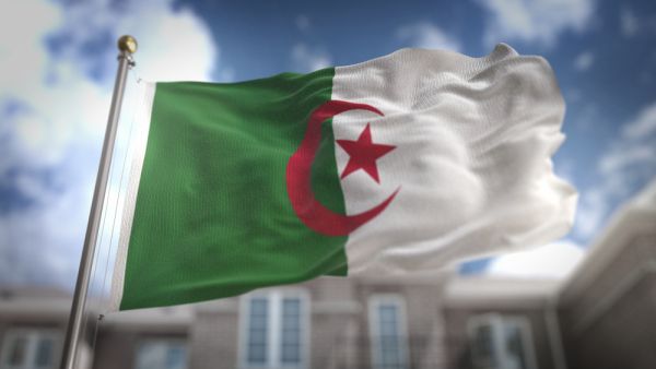 Algeria Flag  (Shutterstock)	
