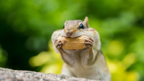 (Shutterstock/ File Photo)