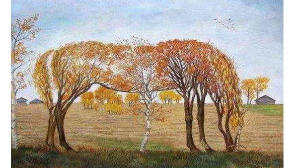 حصان من الاشجار