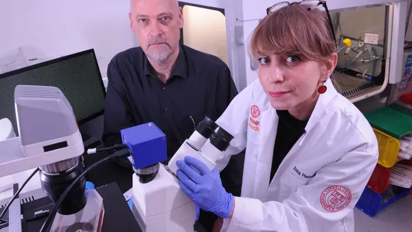 WCM-Q Research Sheds New Light on Treatment-Resistant Cancers