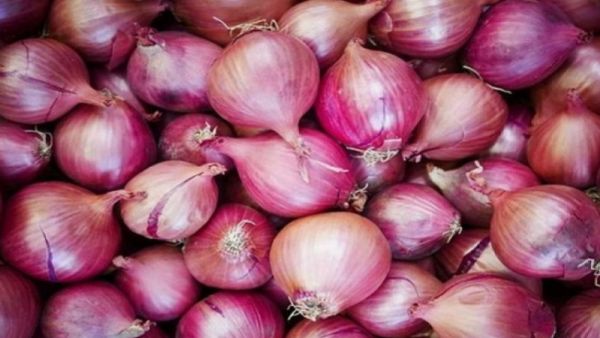 البصل الأخمر يتسبب بعدوى السالمونيلا، لحوالي 400 شخص في أكثر من 30 ولاية أمريكية