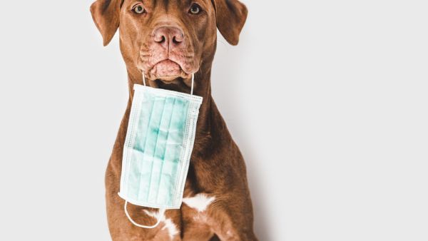 (Shutterstock/ File Photo)