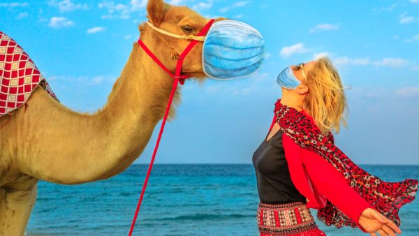 The coronavirus in camels poses no major risk to humans but has killed over 200 camels. (Shutterstock/ File Photo)