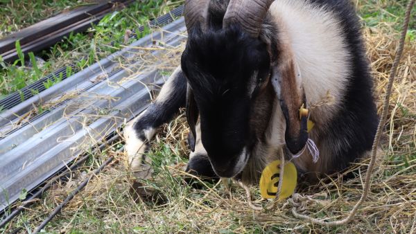 (Shutterstock/ File Photo)