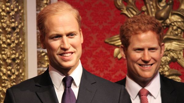 Prince Harry and Prince William, London, United Kingdom. (Shutterstock/ File Photo)