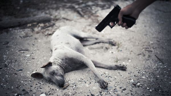 (Shutterstock/ File Photo)