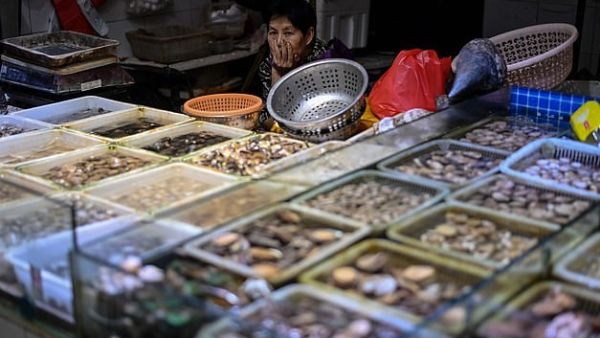 Mainland China has recently reported very few infections with the virus which emerged in Wuhan late last year, with just 10 new COVID-19 cases on Saturday. A seafood vendor is pictured waiting for customers at a wet market in Shanghai on August 25 (AFP)