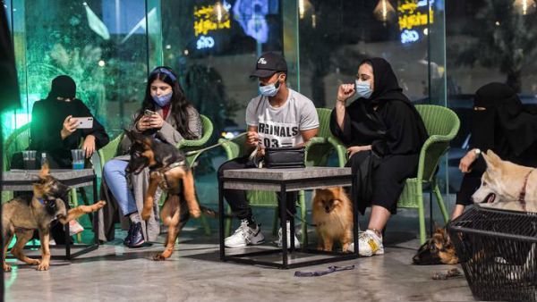 The Barking Lot 