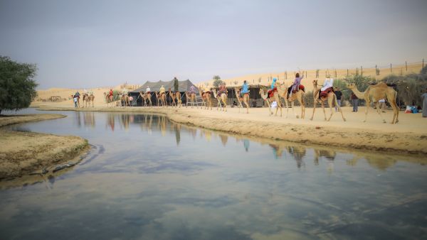 About 100 tour operators attend virtual meeting hosted by Dubai Tourism Dubai Tourism Provides Leading Tour Operators Key Insights Into New Executive Council Resolution on Tourist Camps