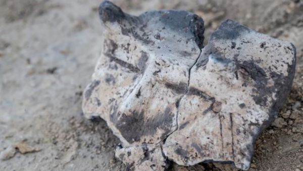 العثور على قناع ذو القرنين عمره 7000 سنة في بولندا