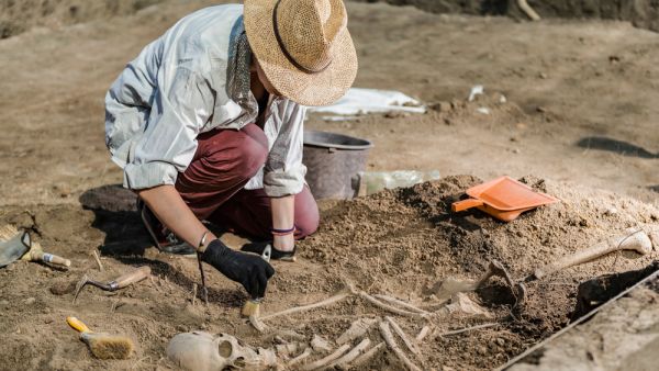 Archaeological excavations, human skeleton remains, found in an ancient tomb. (Shutterstock/ File Photo)