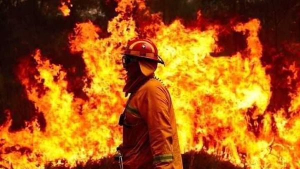  وزير الزراعة السوري: خسرنا خلال خمس ساعات ٦٠٠ هكتار في مكان واحد في اللاذقية