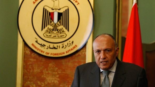 Egyptian Foreign Minister Sameh Shoukry  (Twitter)