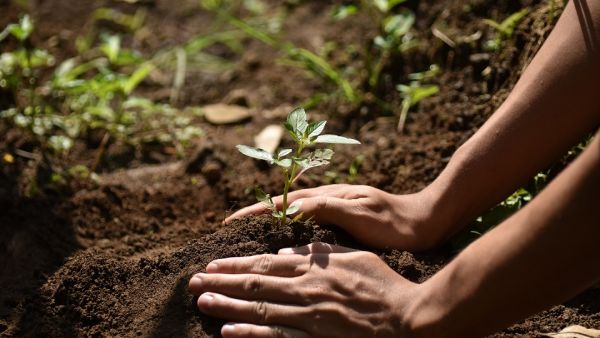 Mastercard Priceless Planet Coalition Welcomes Expo 2020 Dubai, Emirates NBD, Network International as Strategic Partners To Fight Climate Change
