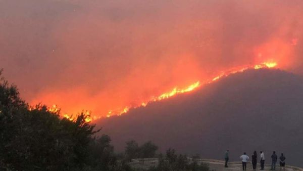 أسفرت الحرائق التي أتت على مئات الهكتارات عن سقوط قتلى