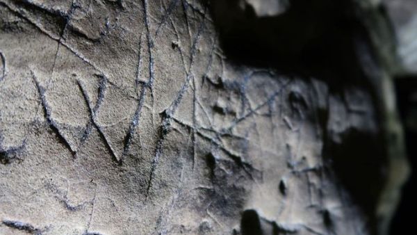 ‘Witches’ Marks’ (Twitter)