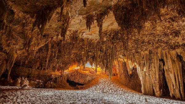The Western Desert of Egypt is an area of the Sahara which lies west of the river Nile, up to the Libyan border, and south from the Mediterranean sea to the border with Sudan  (Shutterstock)	